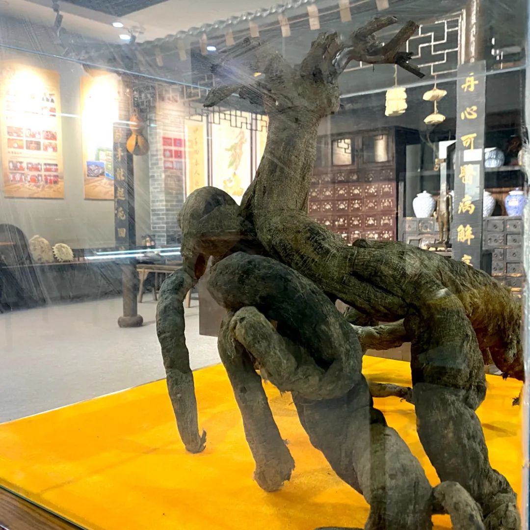 微信图片_20230302134502.jpg